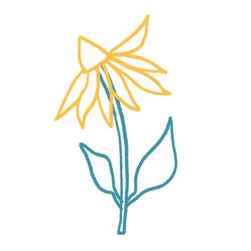 Flower crayon drawn. Spring daisy plant doodle isolated on white background. Stock Illustration