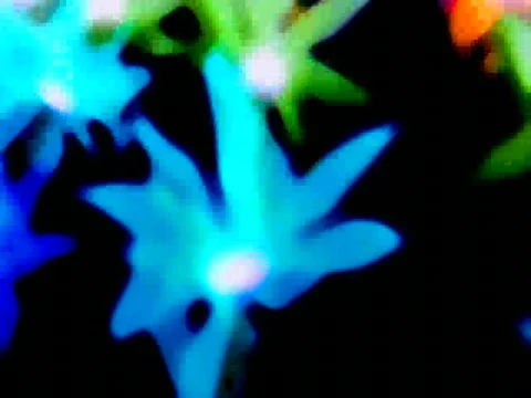 Flower Curtain Inverted Video stock 590230