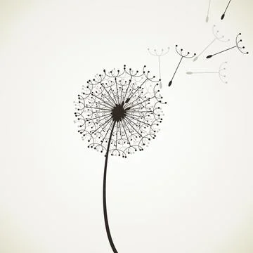 Flower a dandelion4 Stock Photos