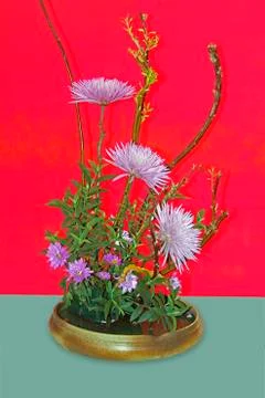 Flower de Stock Photos