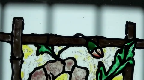 Flower Decal on Window Stock-Footage 64490428