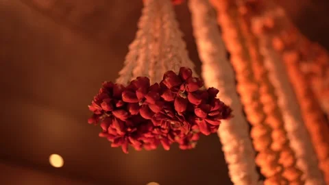 Flower Decor Stock Footage 247262302