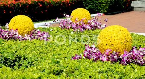 Flower decorate Stock Photos