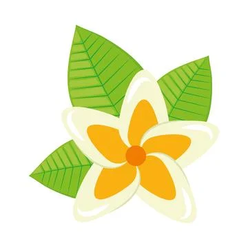 Flower decoration design Stock Illustration