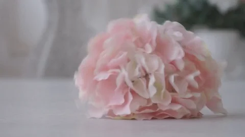 Flower for Decoration Drop to the Floor Stock Footage 72386368