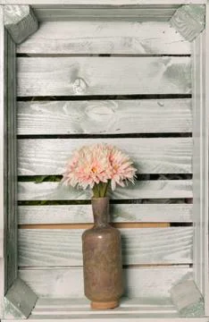 Flower decoration Stock Photos