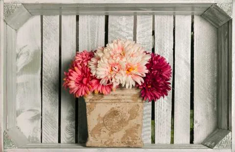 Flower decoration Stock Photos