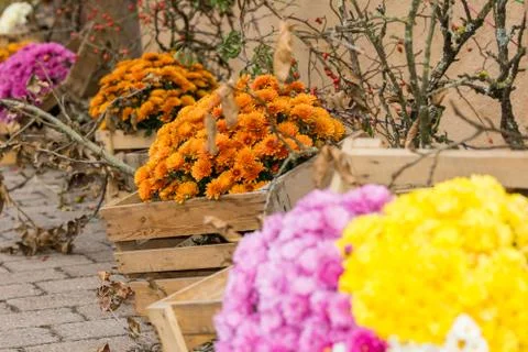 Flower decoration Stock Photos