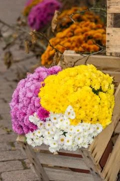 Flower decoration Stock Photos