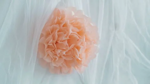 Flower decoration on wall Stock Footage 57076182