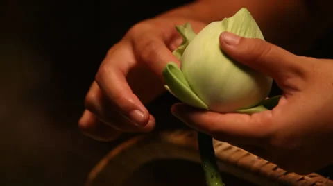 FLOWER DECORATIONS Vidéo 38709476