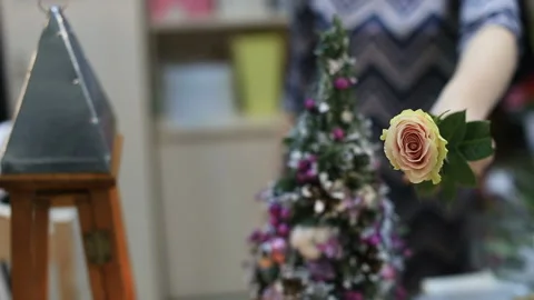 Flower decorations on the tables Vídeos de archivo 86405374