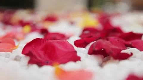 Flower decorations on the wedding Stock Footage 57219495
