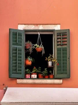 Flower decorations in the window Stock Photos