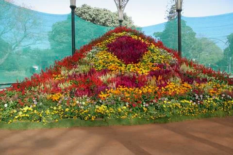 Flower Decroation Stock Photos