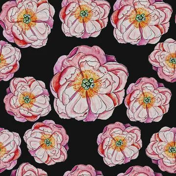 Flower delicate pink Stock Illustration