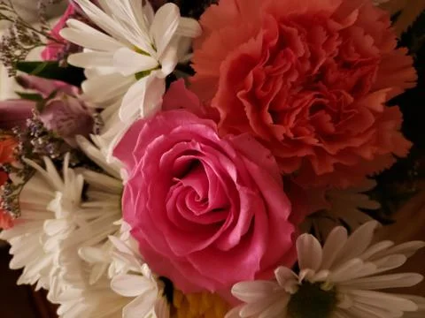Flower delivery Stockfoto's