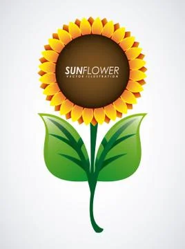 Flower design over gray background, vector illustration Ilustração Stock