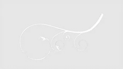 Flower Design Pattern vector animation video with transparent (alpha channel) Stock Footage 139298136