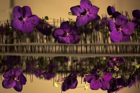 Flower design Stock Photos