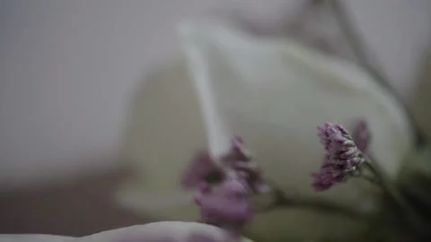 Flower details 스톡 동영상 156834396