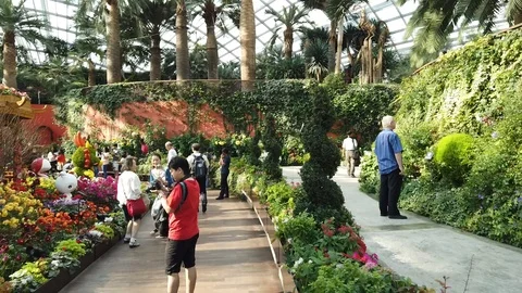 Flower Dome 20200118 Hyperlapse 1 Stock Footage 123137914