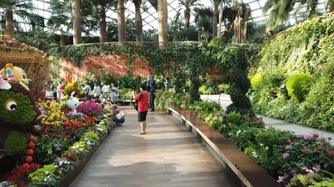Flower Dome 20200118 Hyperlapse 2 Stock Footage 123137916