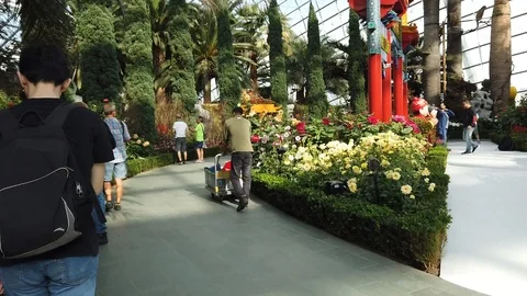 Flower Dome 20200118 Hyperlapse 3 Stock Footage 123137917