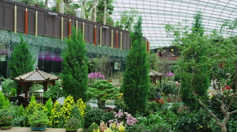 The Flower Dome as an inside Nature Park at Gardens by the Bay Stock Footage 64094396