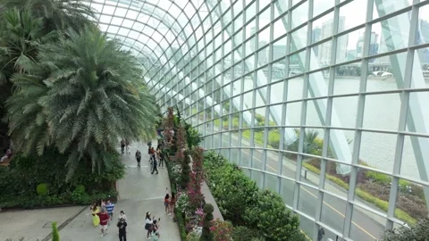 Flower dome in Singapore Stock-Footage 304610076