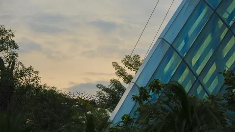 Flower Dome Sunset Timelapse Vídeos de archivo 95190576