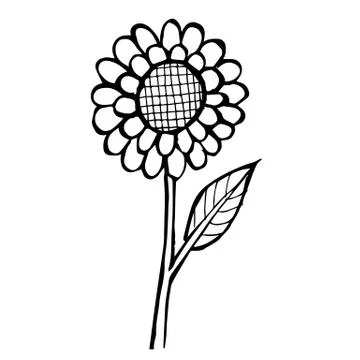 Flower doodle hand drawn Stock Illustration