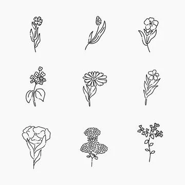 Flower doodle line vector illustration Stock Illustration