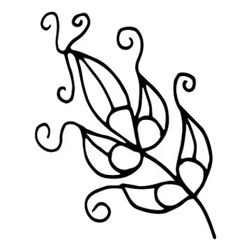 Flower drawing. Vector hand-drawn doodle illustration Stock Illustration