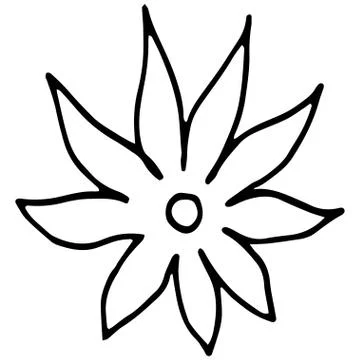Flower drawing. Vector hand-drawn doodle illustration Stock Illustration