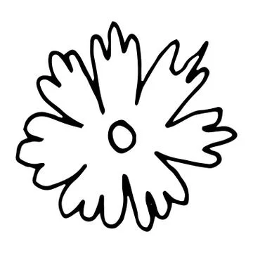 Flower drawing. Vector hand-drawn doodle illustration Stock Illustration