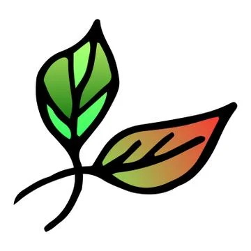 Flower drawing. Vector hand-drawn doodle illustration Stock Illustration