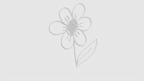 Flower drawn with white chalk, animation 库存影片 333332011
