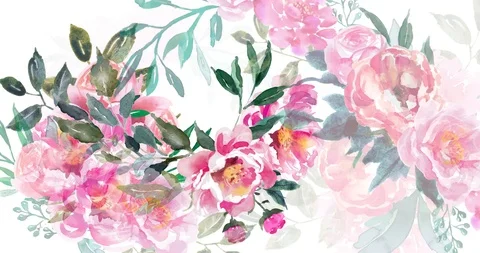 Flower Dreams Stock Footage 113859086