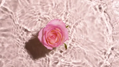 Flower drop into water  ripple waves spa treatment beauty routine Stock Footage 256224989