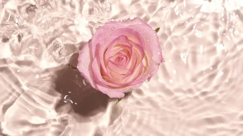 Flower drop into water  ripple waves spa treatment beauty routine Stock Footage 256225078