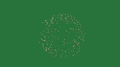 Flower Dynamic With Fireworks On Chroma Key For Compositing Stock Footage 338013630