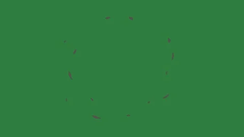Flower Dynamic With Flowers - Chroma Key Green Screen Footage Stock Footage 338014480