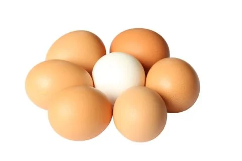 Flower eggs Stock Photos