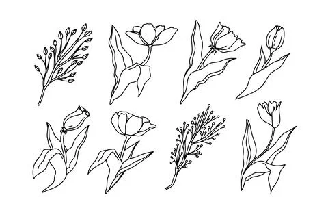 Flower elegant simple vector icon. Doodle outline plant. Drawings element Stock Illustration