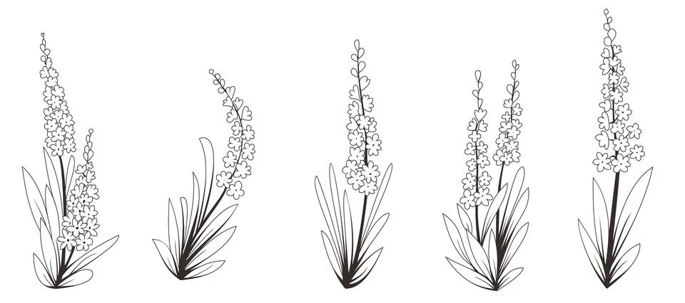 Flower element 스톡 일러스트