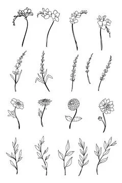 Flower element 스톡 일러스트