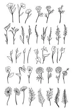 Flower element 스톡 일러스트