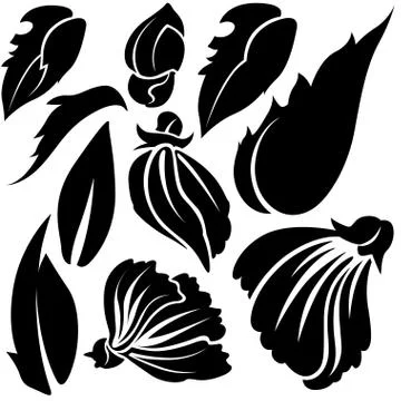 Flower Elements Stock Illustration