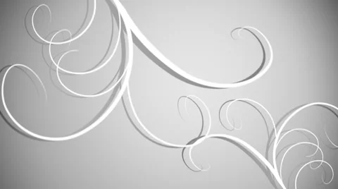 Flower evolution Video stock 8946619